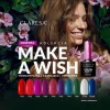 Claresa-Make-A-Wish.webp