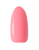 BEG_PEACH.png