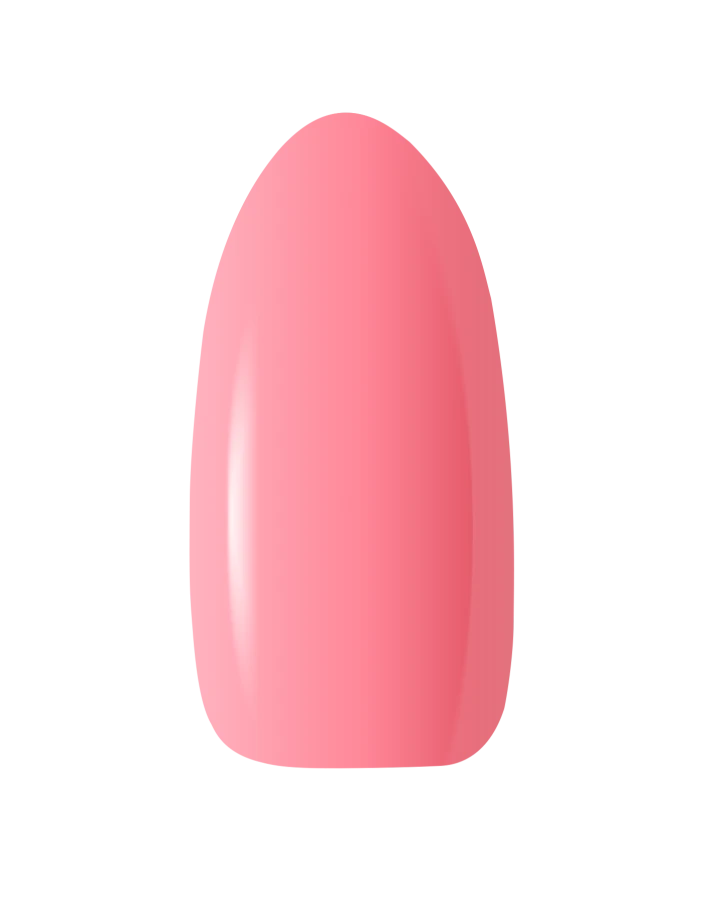 BEG_PEACH.png