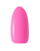BEG_PINK.png
