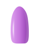 BEG_VIOLET.png