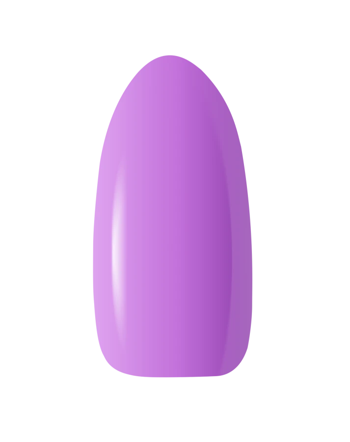 BEG_VIOLET.png