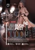 palu-lakier-hybrydowy-budapest-1.webp