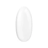 7394.webp