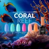Claresa-zestaw-Coral-Reef