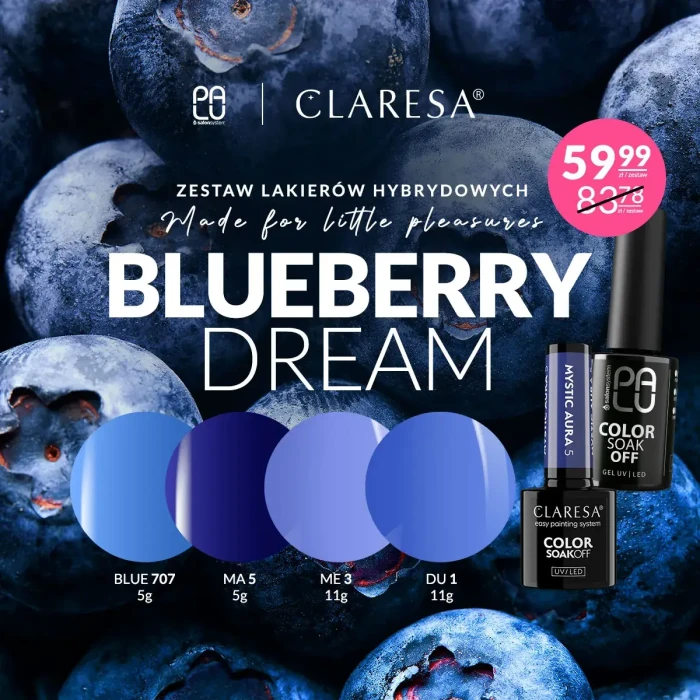 blueberry_dream.webp