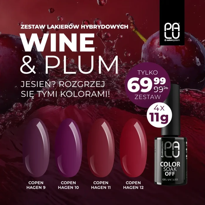 11g Palu-zestaw-lakierów-hybrydowych