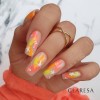 fluo 1,3,6