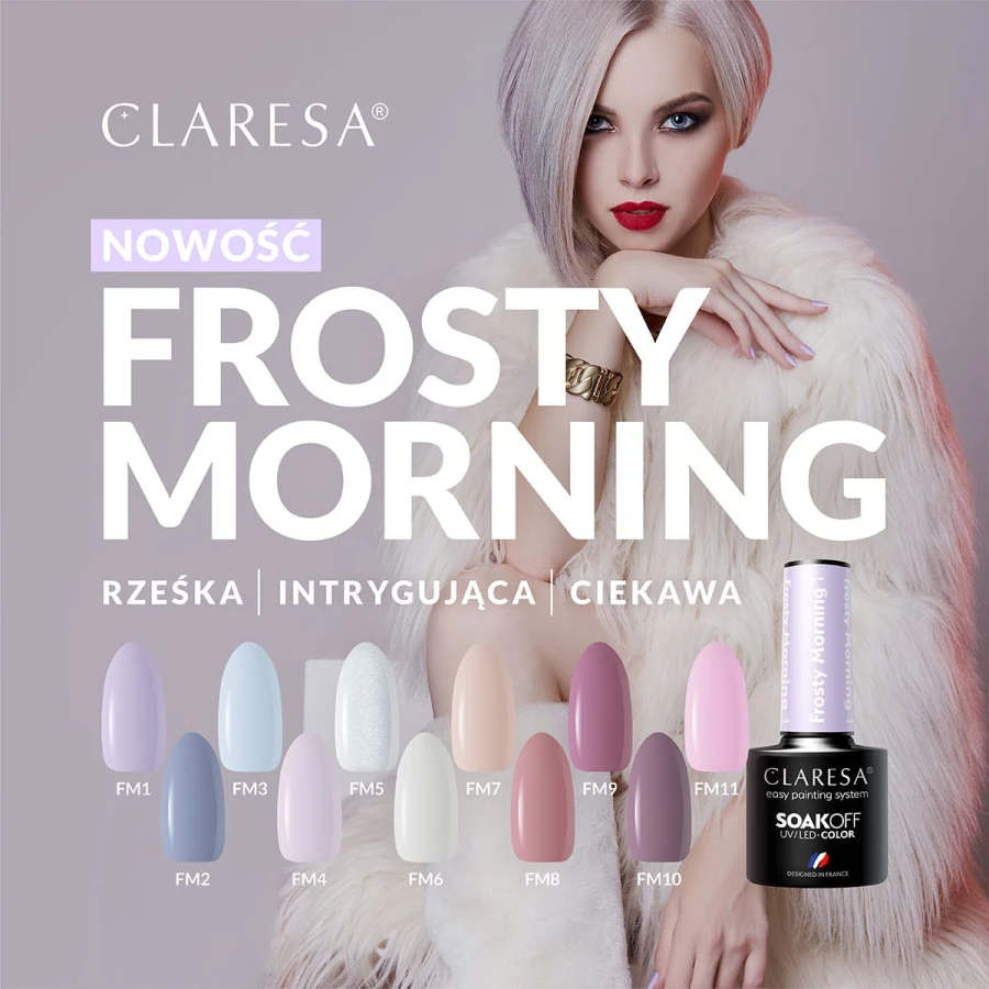 Claresa kolekcja Frosty Morning