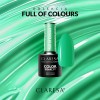 Claresa-Full-of-Colours-5.jpg