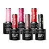 Claresa-zestaw-Crimson-Claire
