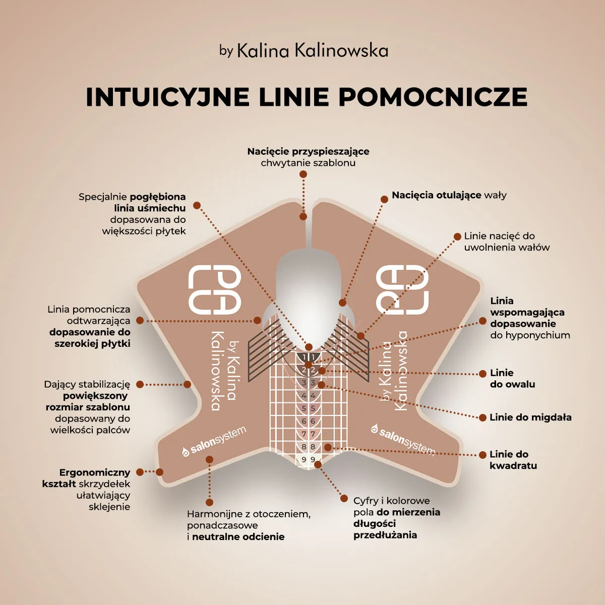 Linie pomocnicze