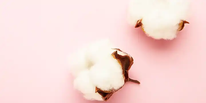 Macerat z bawełny – koi, zmiękcza i chroni skórę