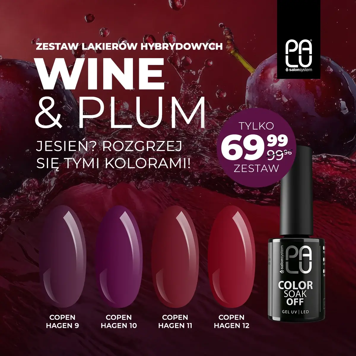 Palu-zestaw-lakierów-hybrydowych